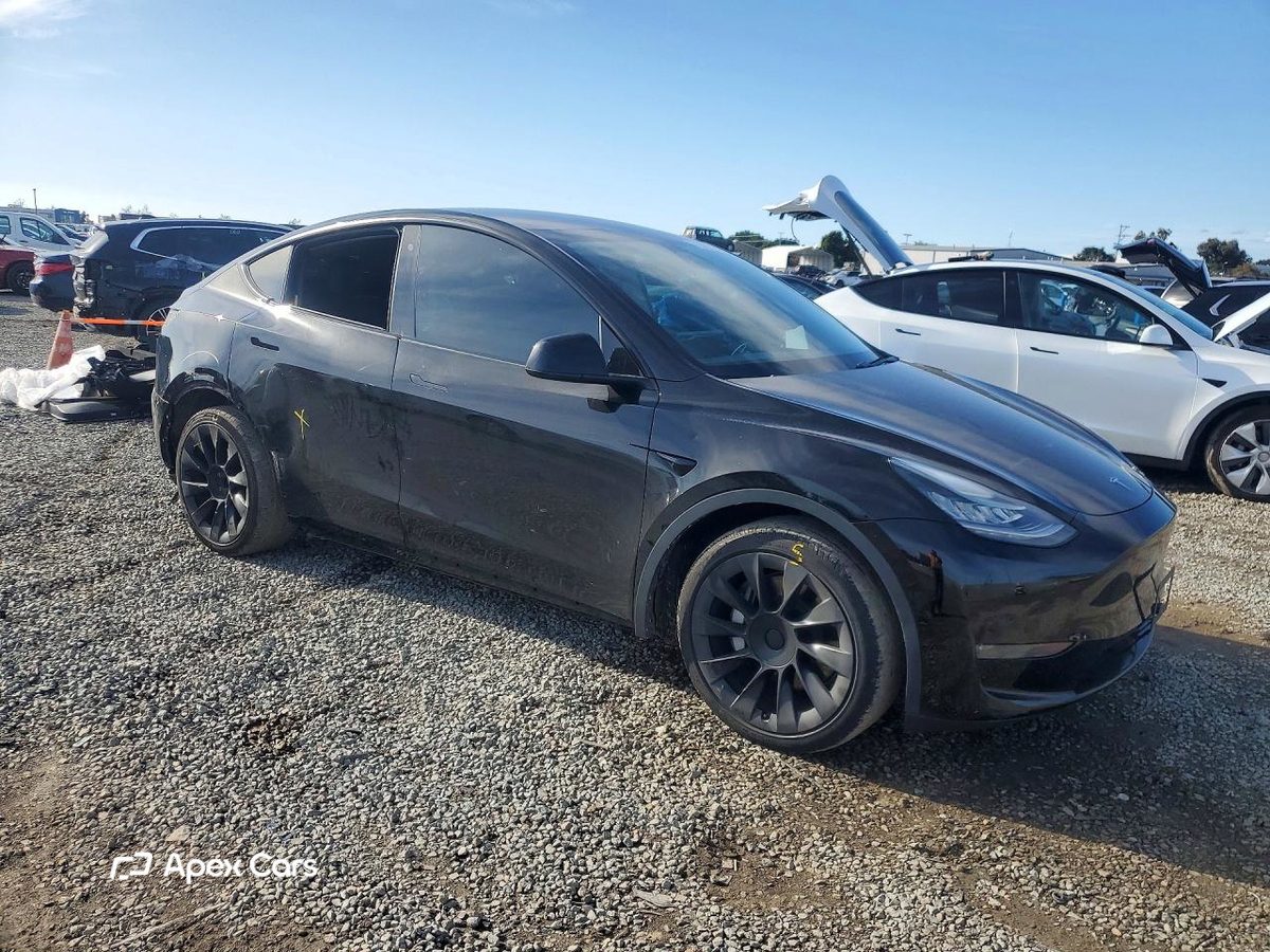 Tesla Model Y 2020