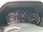 Ford Expedition 2021