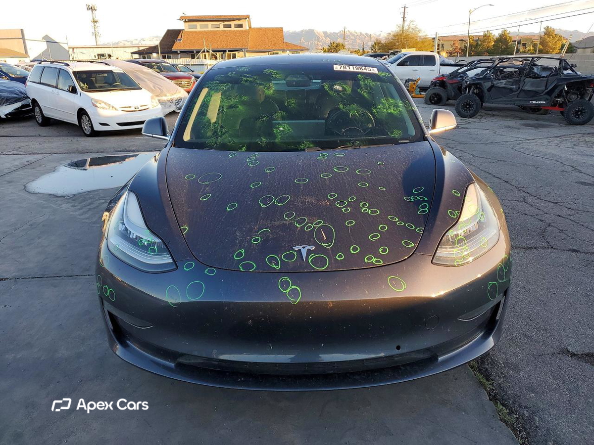 Tesla Model 3 2019