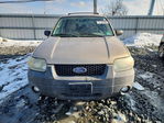 Ford Escape 2007