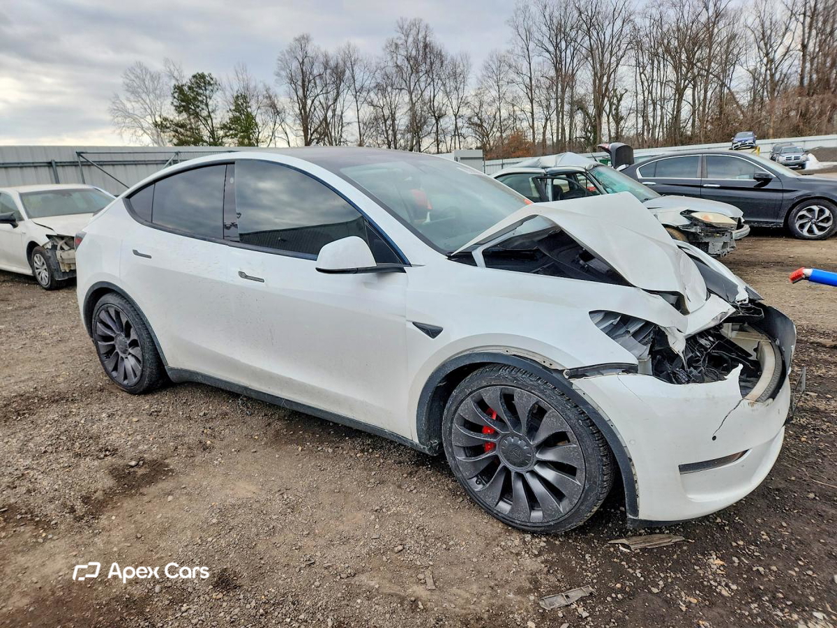 Tesla Model Y 2021
