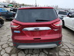 Ford Escape 2014