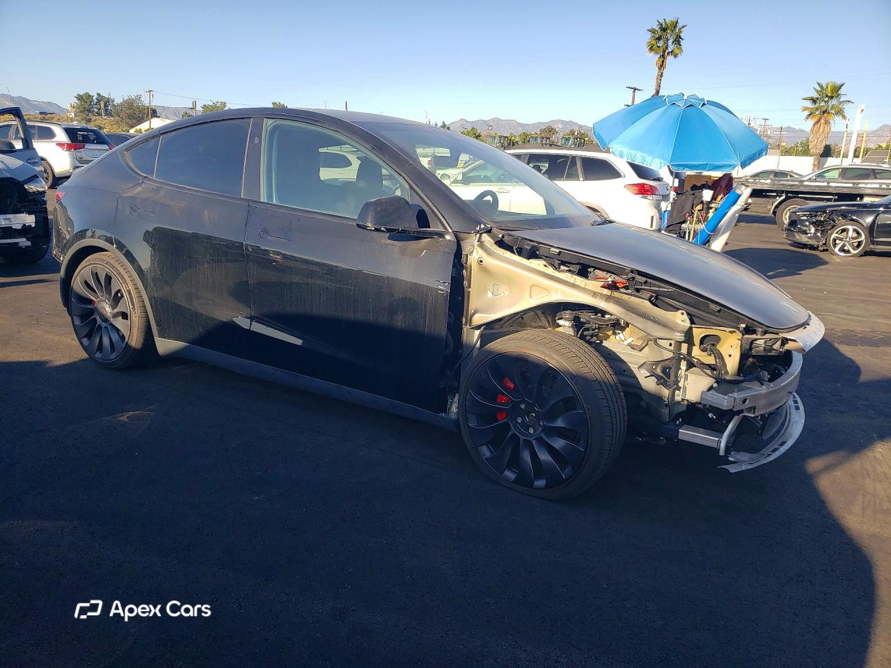 Tesla Model Y 2024