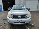 Ford Escape 2011
