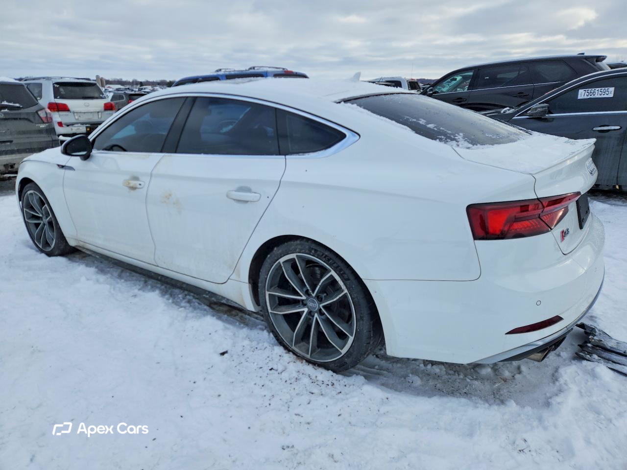 Audi RS5 2019