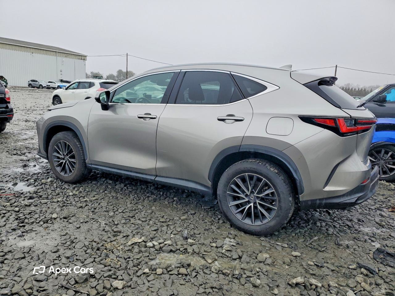 Lexus NX 2022