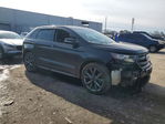 Ford Edge 2016