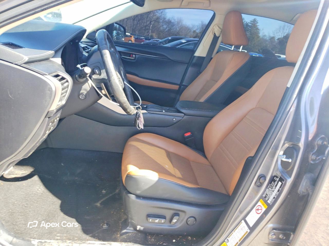 Lexus NX 2018