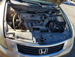 Honda Accord 2010