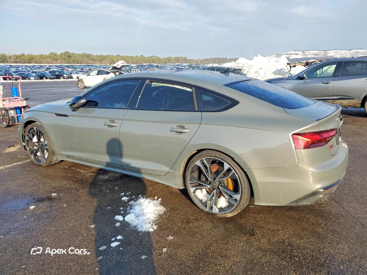 Audi RS5 2025
