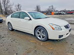 Nissan Maxima 2008