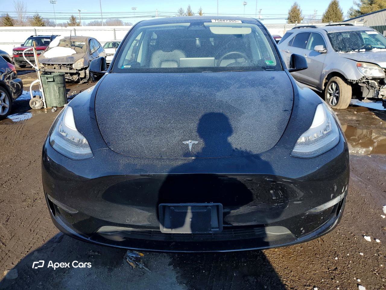 Tesla Model Y 2020