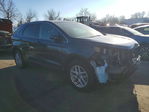 Ford Edge 2024