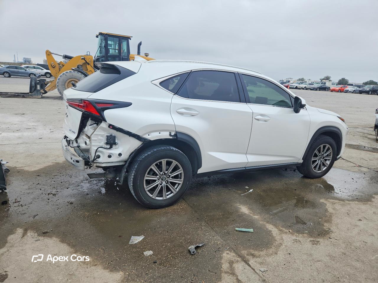 Lexus NX 2020