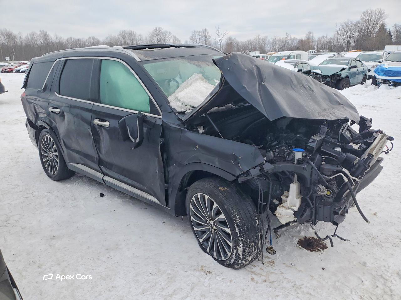 Hyundai Palisade 2024