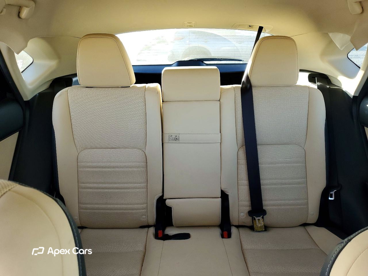 Lexus NX 2019