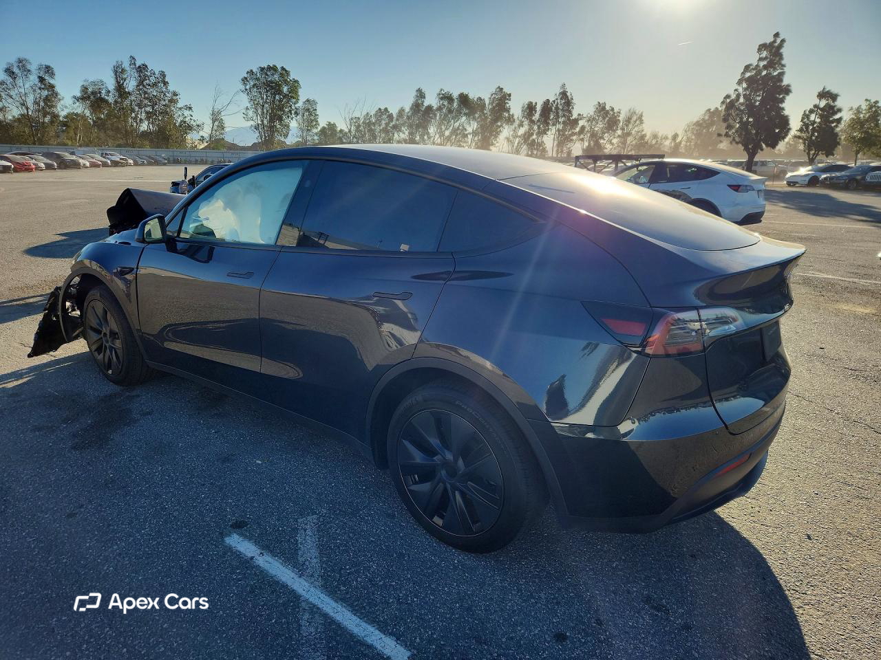 Tesla Model Y 2025