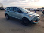 Ford Escape 2013