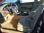 Honda Accord 2010