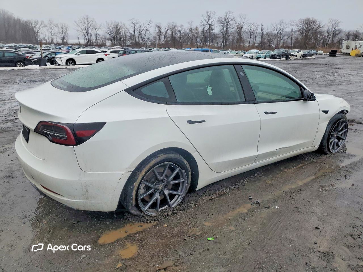 Tesla Model 3 2023