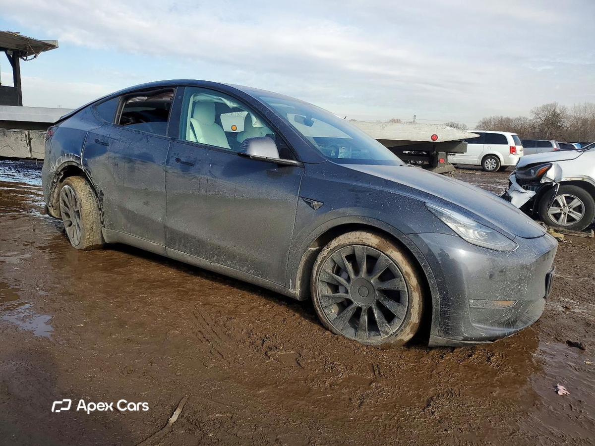 Tesla Model Y 2021