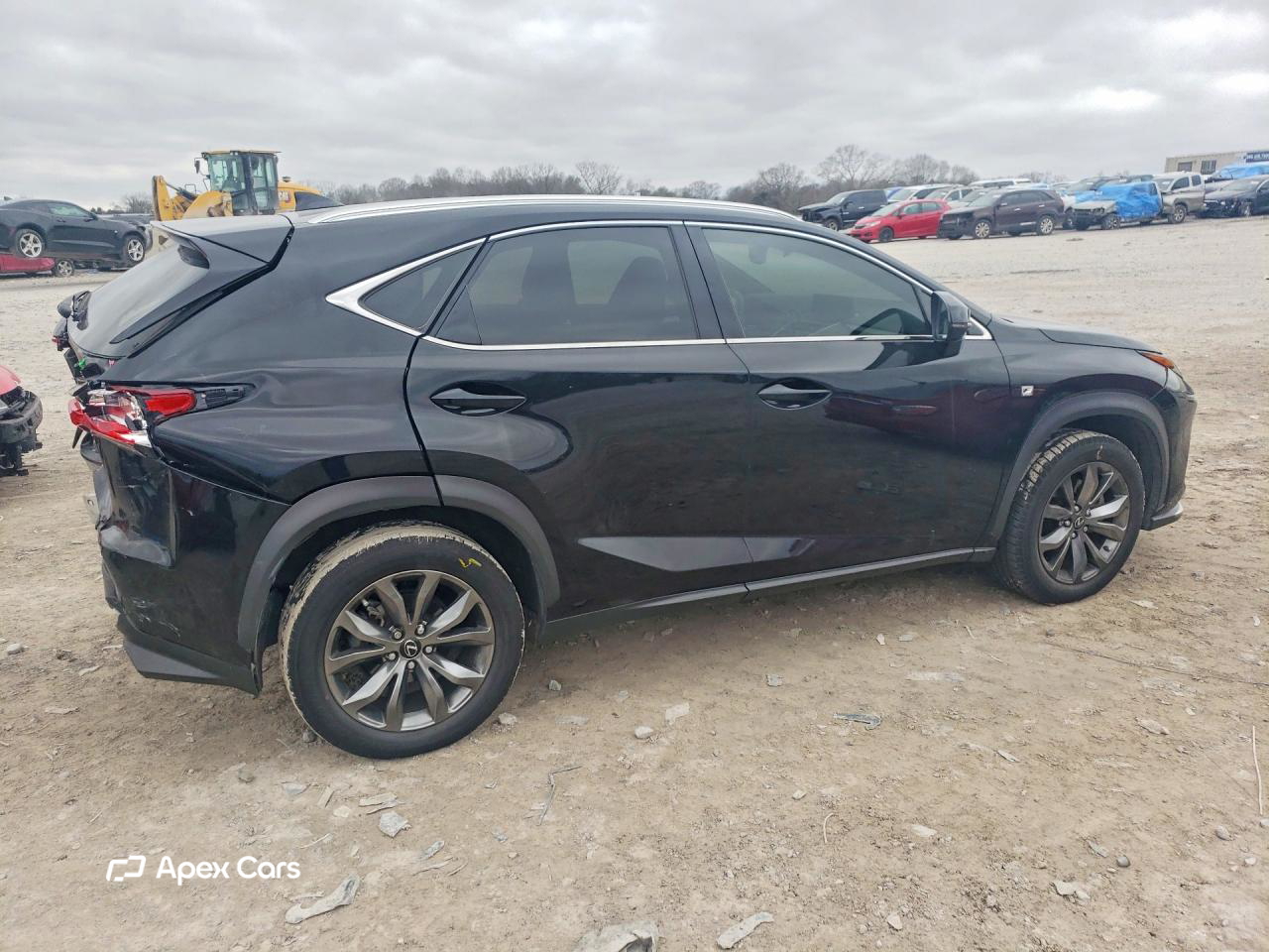 Lexus NX 2021