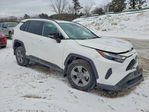 Toyota RAV 4 2025