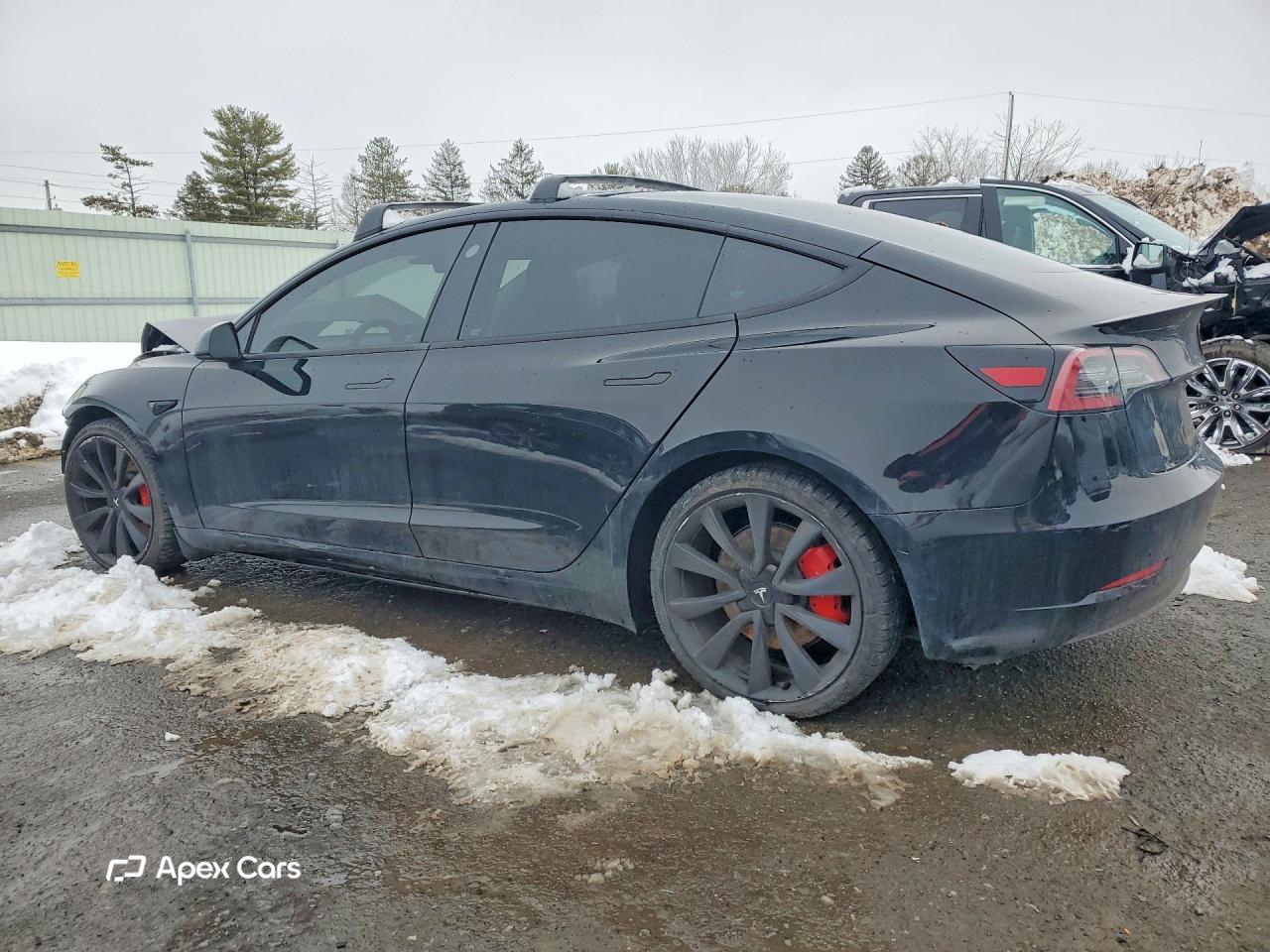 Tesla Model 3 2023