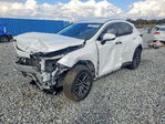 Lexus NX 2022