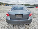 Honda Accord 2010