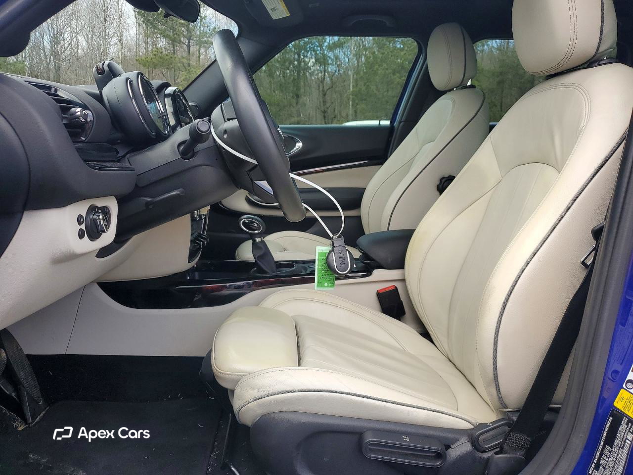 MINI  2019