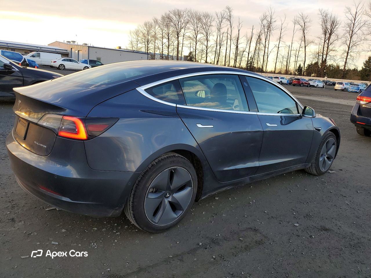 Tesla Model 3 2019
