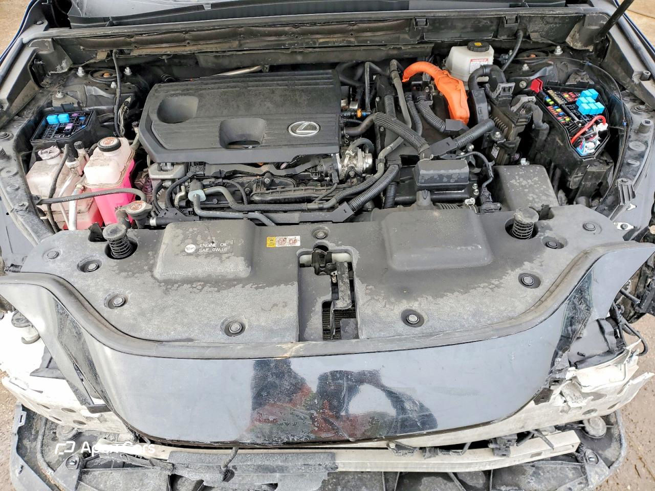 Lexus NX 2024