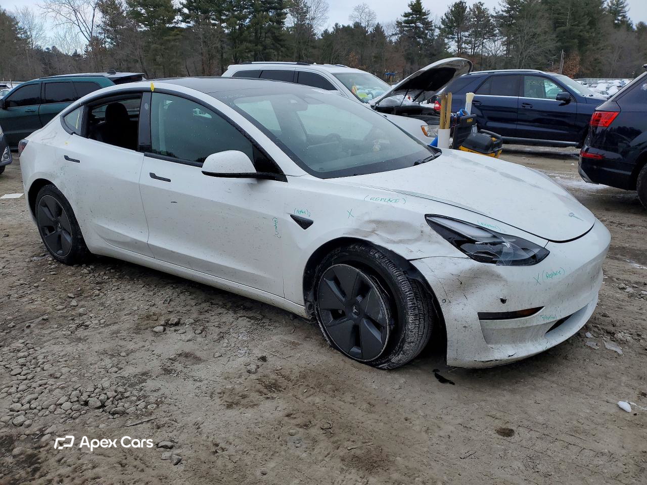 Tesla Model 3 2021