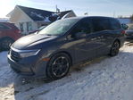 Honda Odyssey 2022
