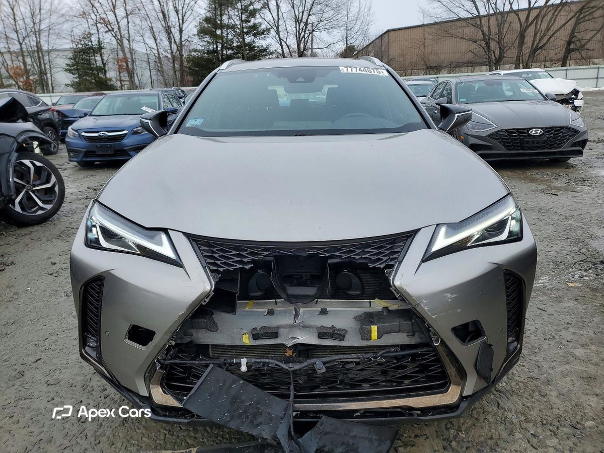 Lexus UX 2019