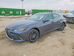 Lexus ES 2025