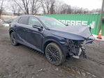 Lexus RX 2024