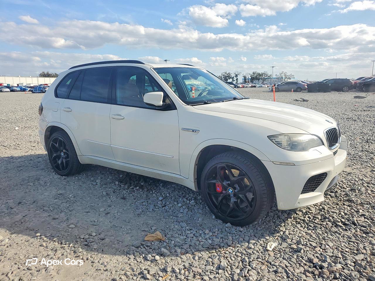 BMW X5 2010
