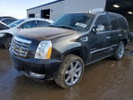 Cadillac Escalade 2011