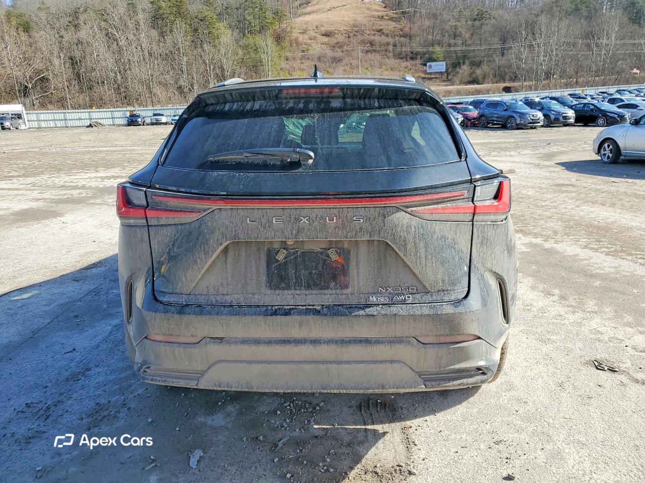 Lexus NX 2025