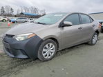 Toyota Corolla 2015