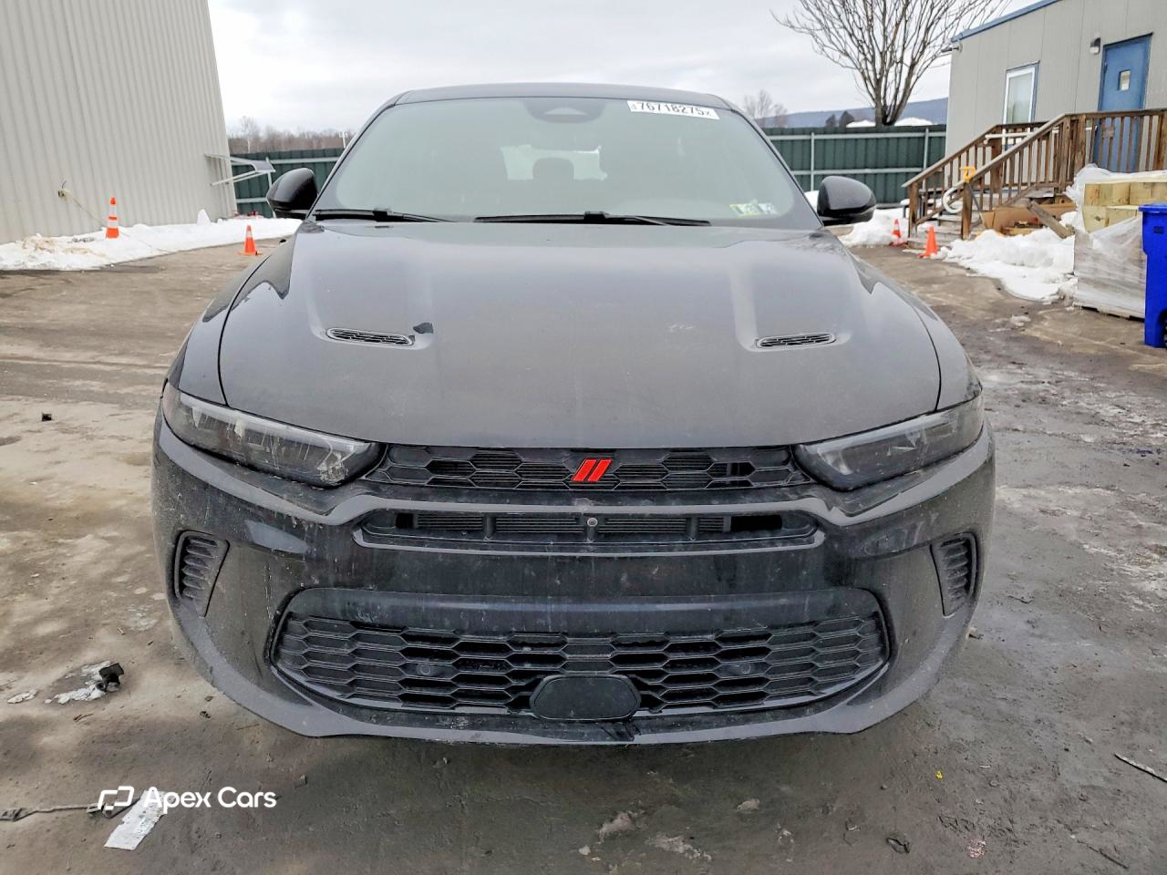 Dodge Hornet 2024