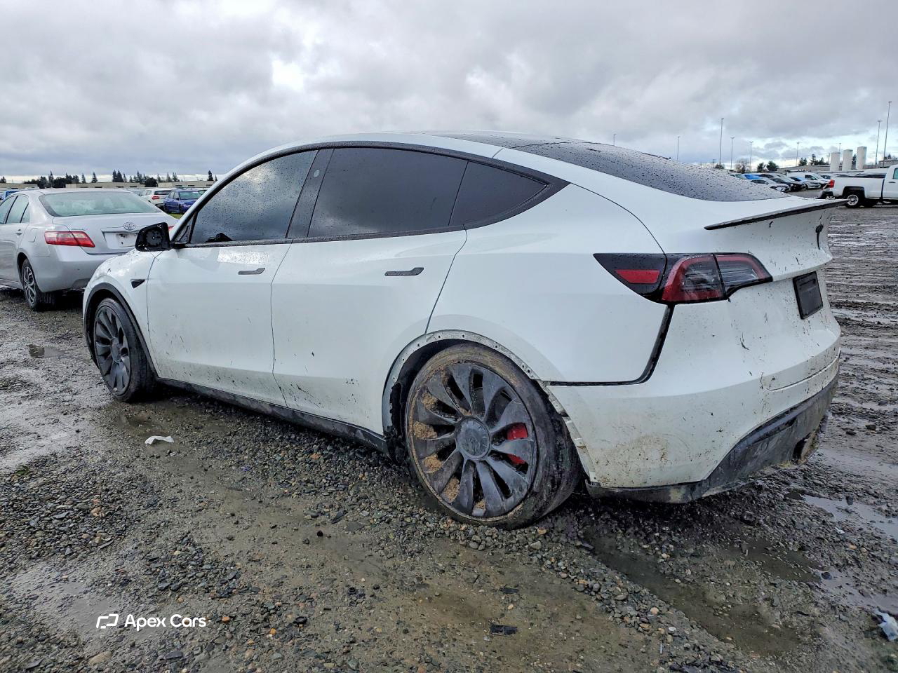 Tesla Model Y 2024