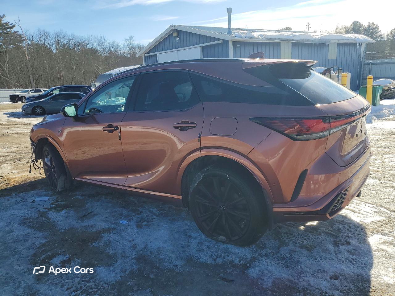 Lexus RX 2025