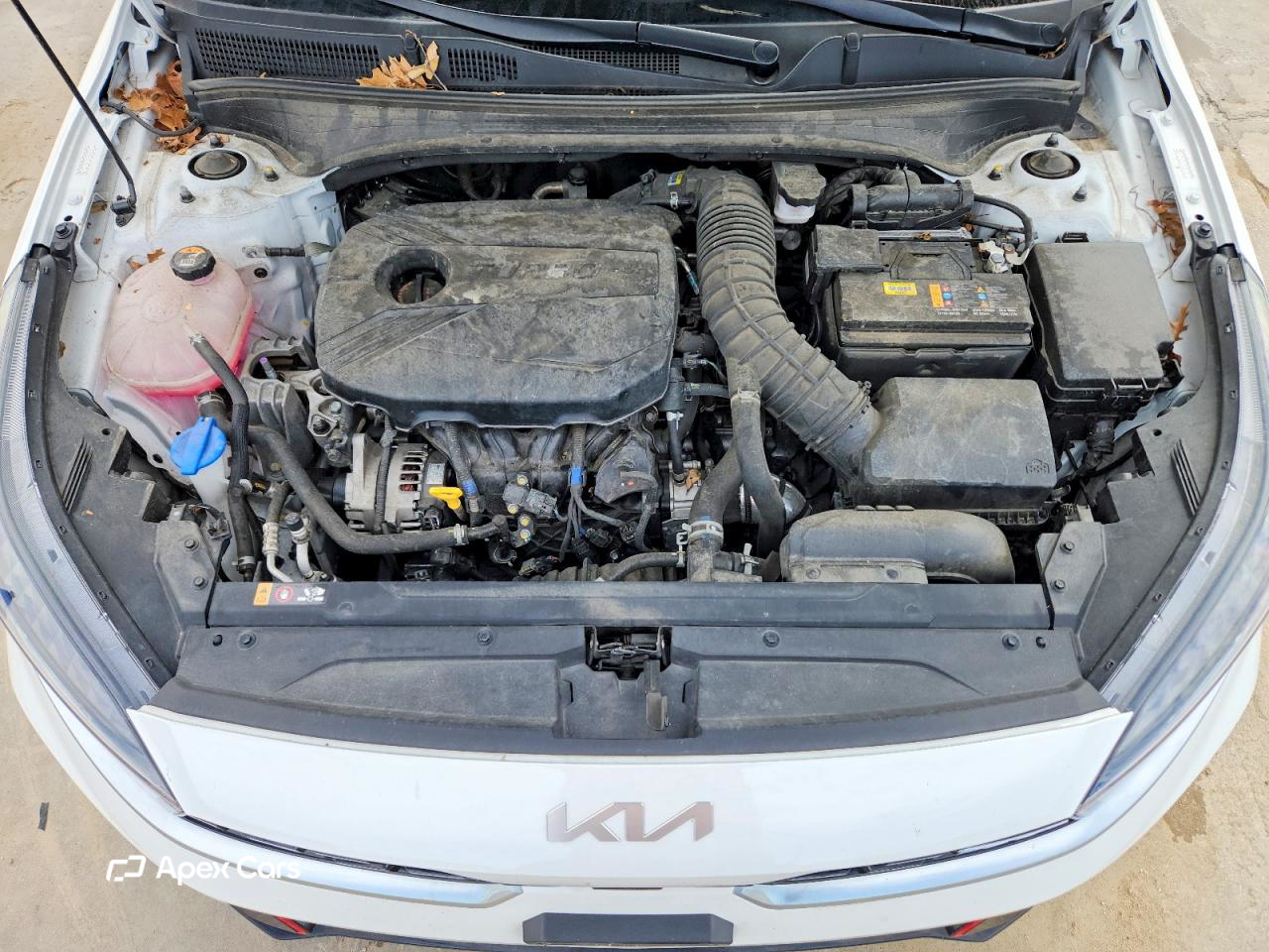 Kia Forte 2024