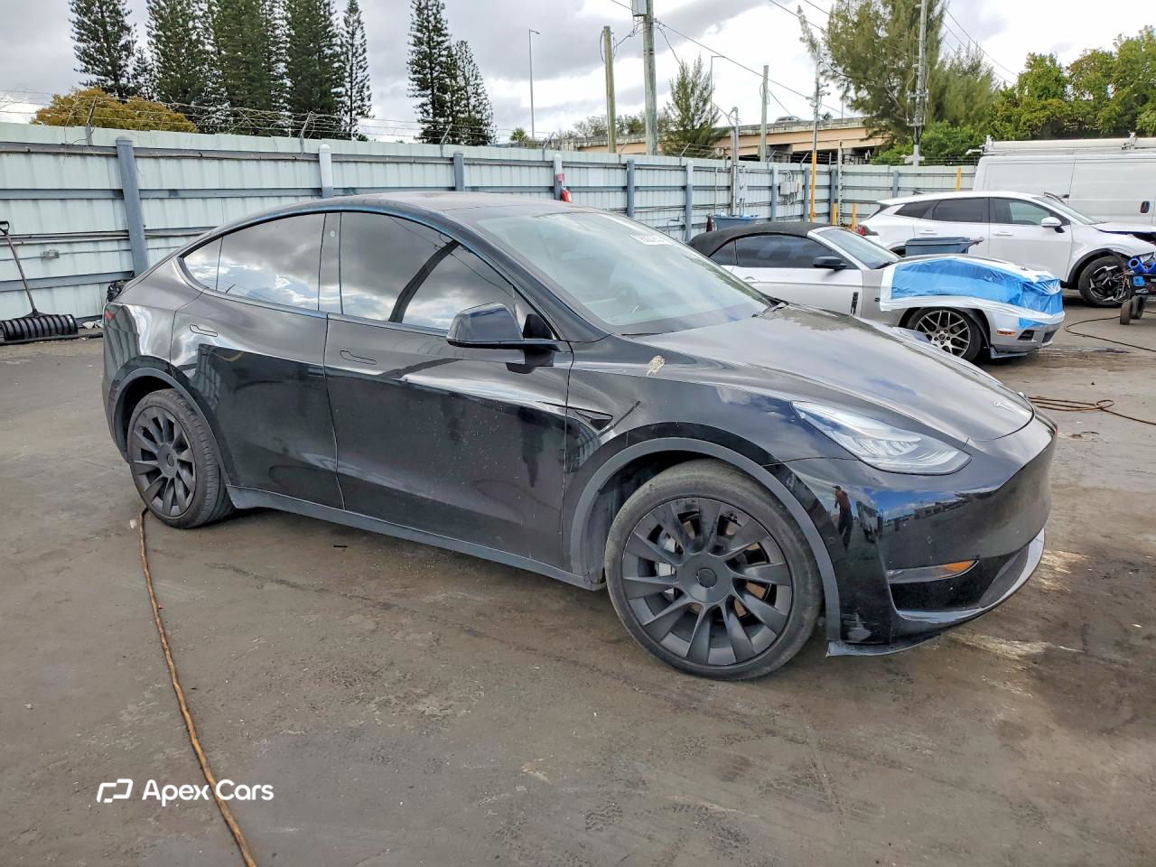 Tesla Model Y 2020