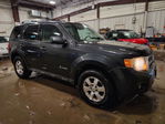 Ford Escape 2009