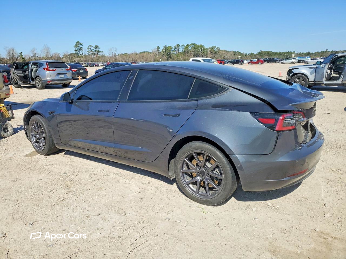 Tesla Model 3 2019