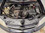 Dodge Avenger 2010